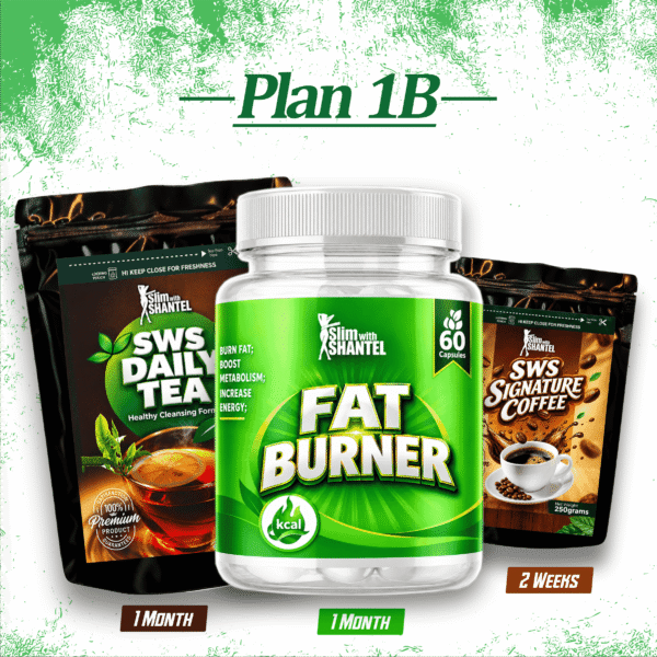 SWS WEIGHTLOSS PLAN 1B