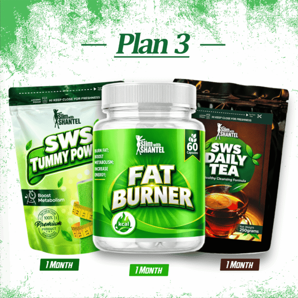 SWS WEIGHTLOSS PLAN 3