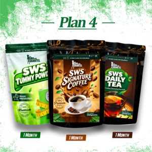 SWS WEIGHTLOSS PLAN 4